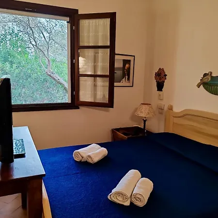 Vila Charming Near With Private Garden Pula